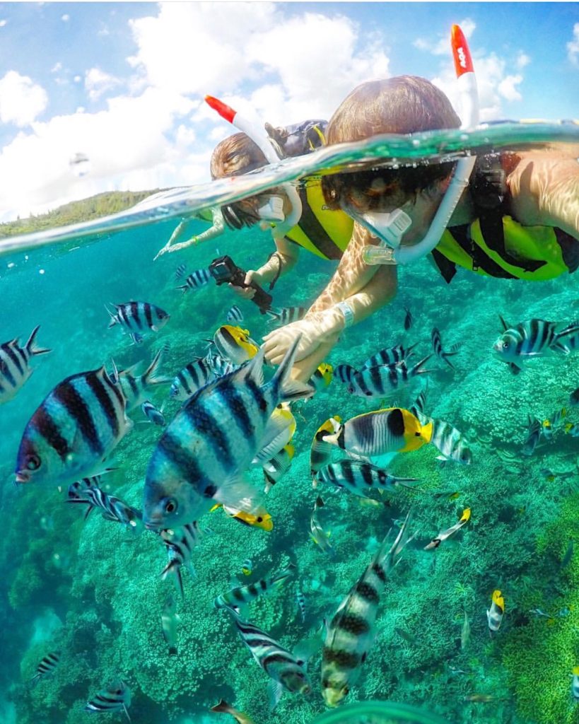 Family Friendly Vacation Nassau Bahamas Snorkeling